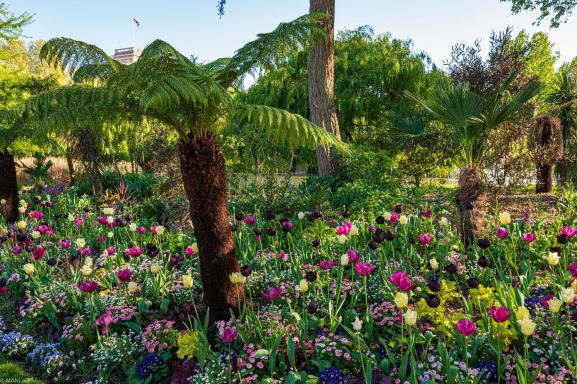 St James's Park
