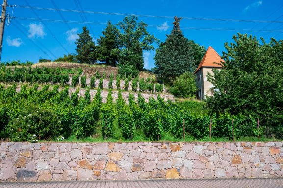 Seusslitz