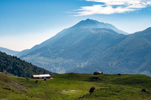 Montebaldo