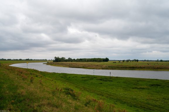 Elbe