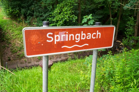 Mein Bach bei Braunschweig.