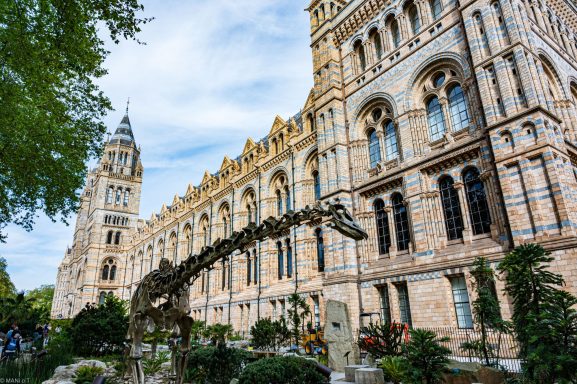 Natural History Museum